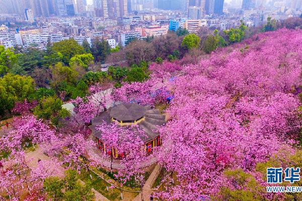 多晶硅期货在广州期货交易所上市